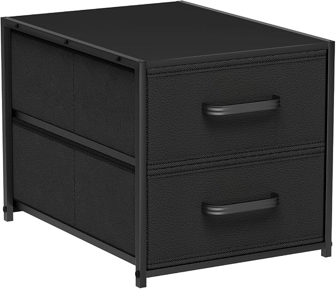 Homsorout 2 Drawers for Closet -Small Fabric Dresser Closet Storage | 1 Pack by Homsorout