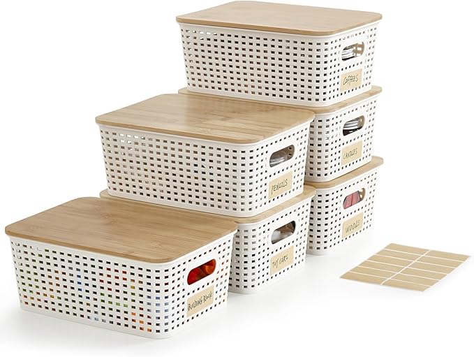 Bagnizer Small Plastic Storage Bins by Bagnizer