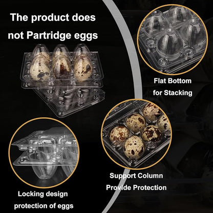 300 Pack Quail Egg Cartons, Holds up to 6 Quail Eggs Securely - Image 3