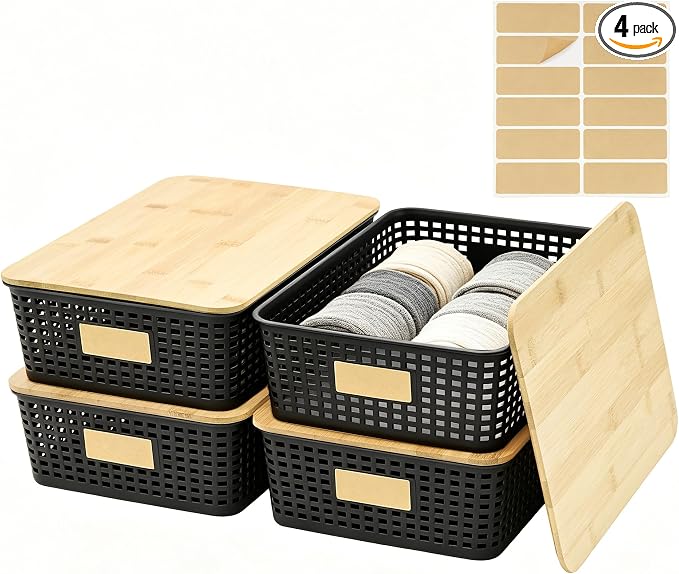Bagnizer 4 Pack Plastic Storage Bins by Bagnizer