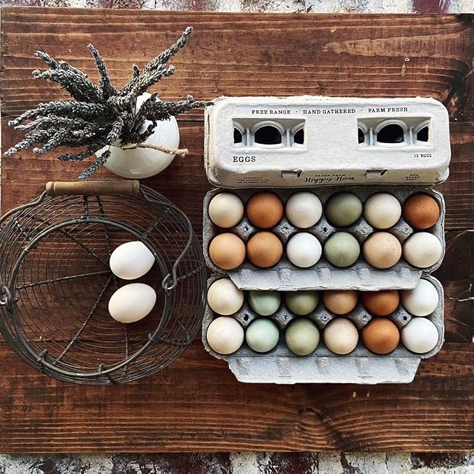 Egg Cartons- Adorable Printed Design by Henlay