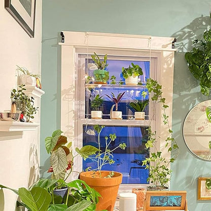 SHUANGSHI Storage Shelves, Transpaent Acrylic Window Plant Shelves 2/3 Layers - Image 3