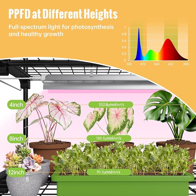 Indoor Greenhouse with Grow Light, 3-Tier Plant Stand with PVC Tent, - Image 4