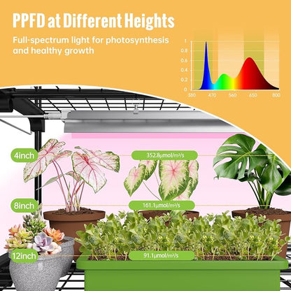Indoor Greenhouse with Grow Light, 3-Tier Plant Stand with PVC Tent, - Image 4