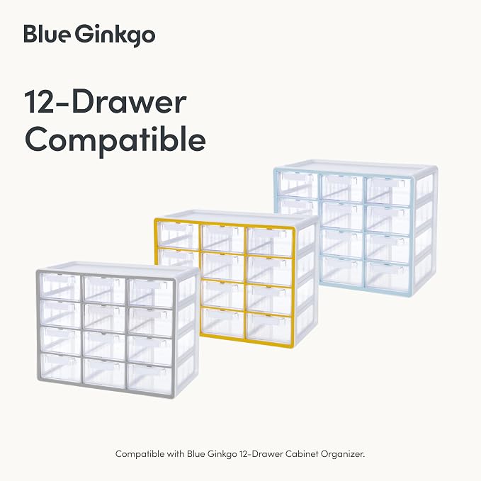 BLUE GINKGO 12 Dividers - Image 4