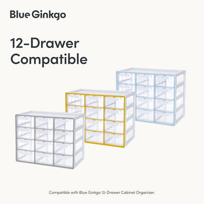 BLUE GINKGO 12 Dividers - Image 4