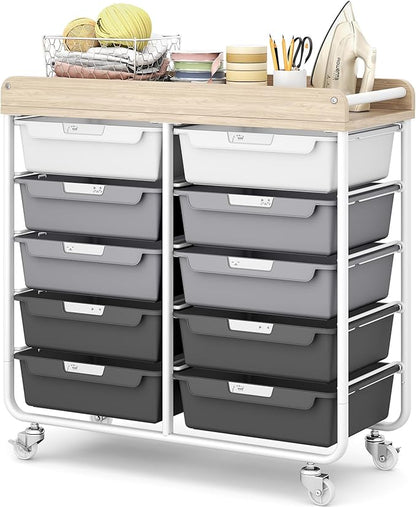 10 Drawer Rolling Storage Cart by APEXCHASER