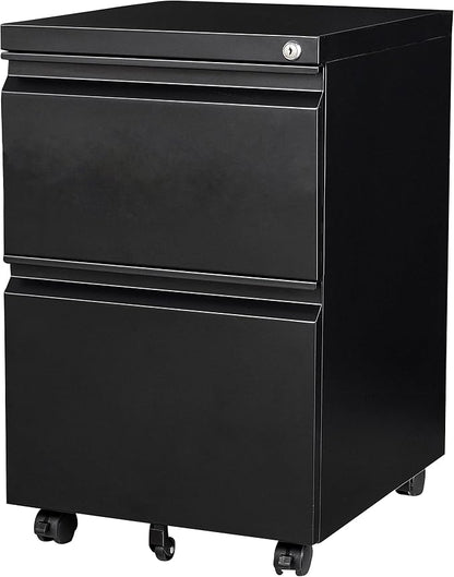 SISESOL 2 Drawer File Cabinet on Wheels, Metal Filing Cabinet by SISESOL