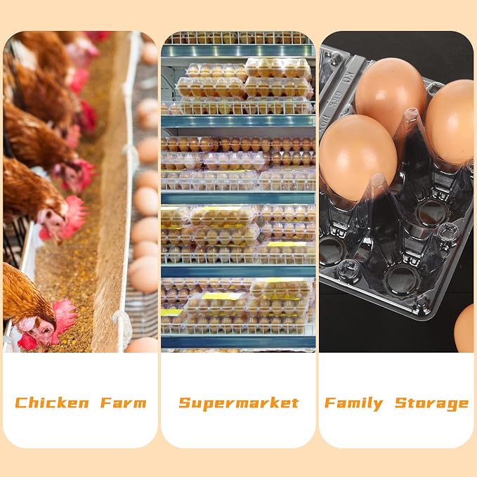 100PCS Plastic Egg Cartons Bulk 2x3 Egg Holders Style Holds 6 Eggs - Image 3