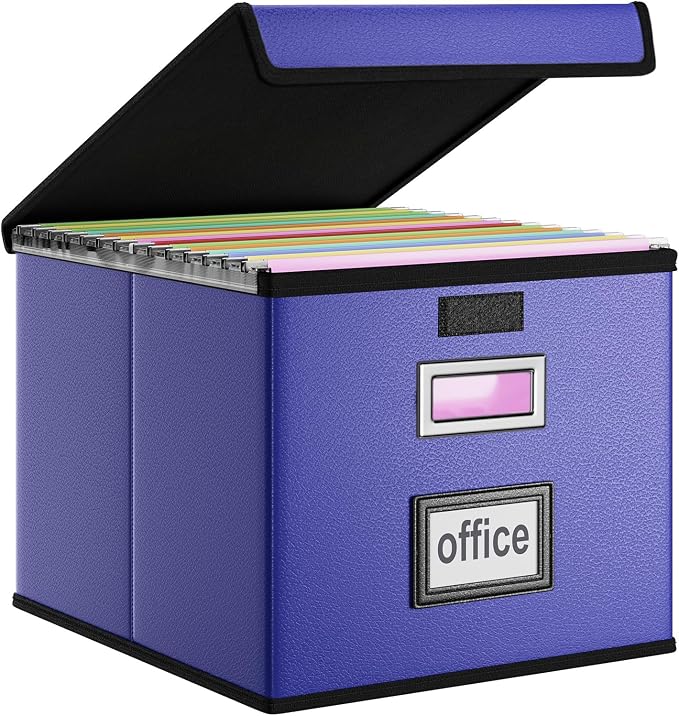 File Organizer Box with Lids, Collapsible File Folder Organizer | File Box with by Huolewa