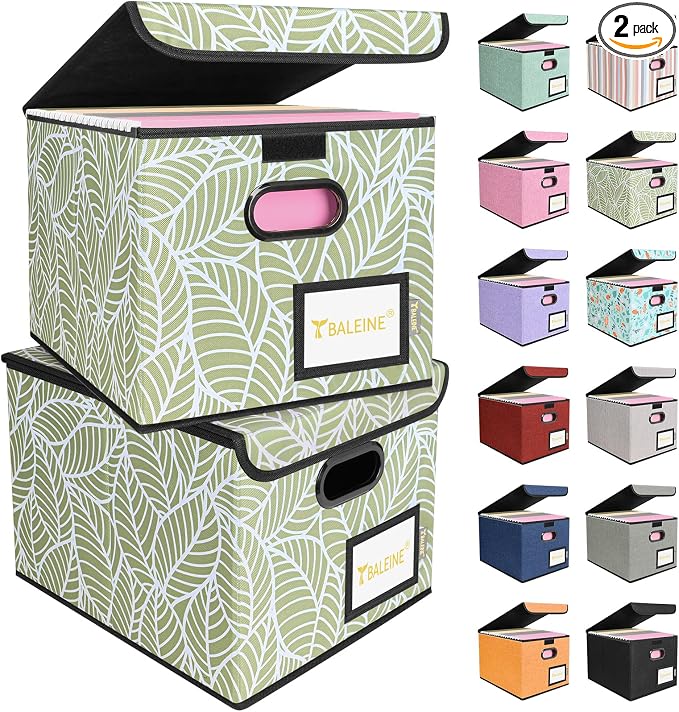 BALEINE File Organizer Box by BALEINE