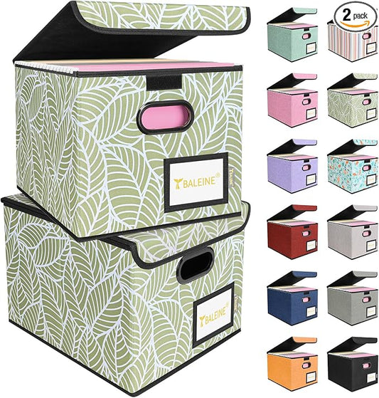 BALEINE File Organizer Box by BALEINE
