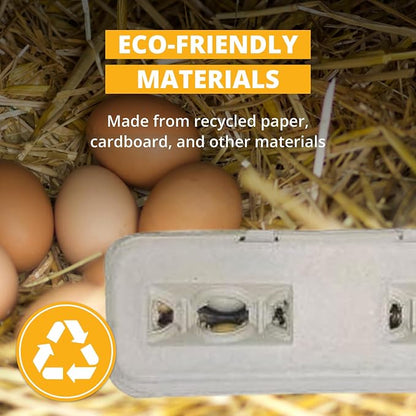 Stromberg's Large Blank Egg Cartons, Bulk Pack - Image 3