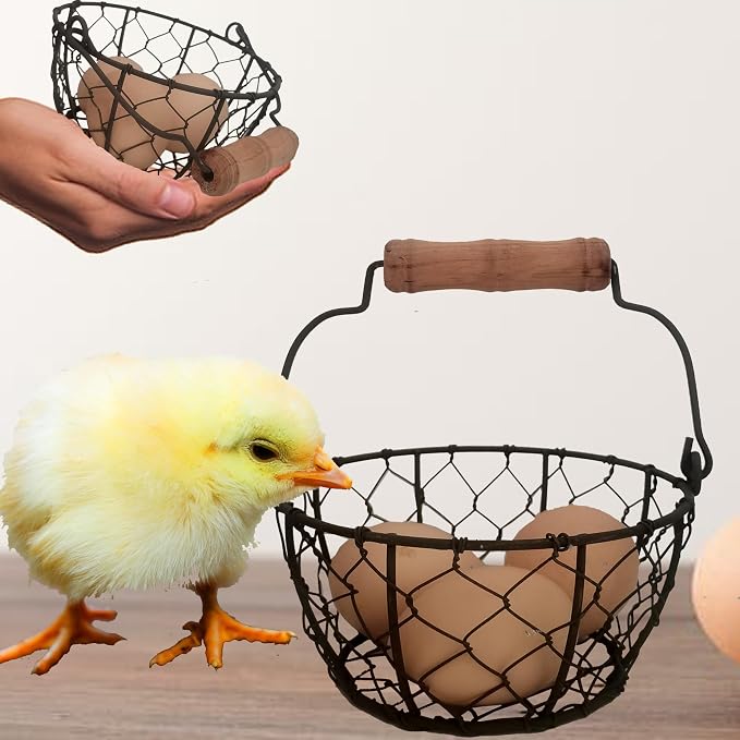 TAIANLE.Small Wire Egg Collecting Basket by TAIANLE
