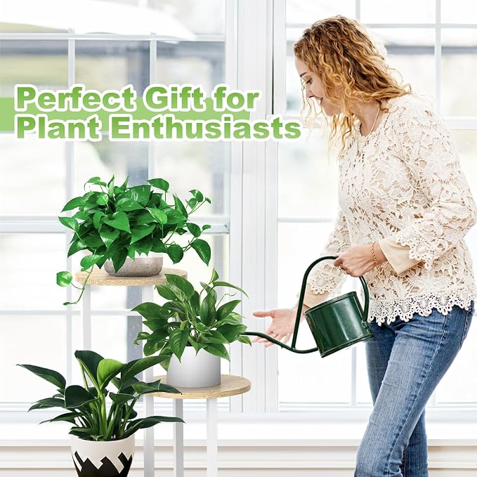4 Tier Wood Tall Plant Stand Metal Rack Indoor, Round Planter Shelf Display - Image 7