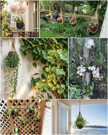 Hanging Orchids Pot: 4 Inch Handmade Bamboo Wall Plant Planter - Image 8