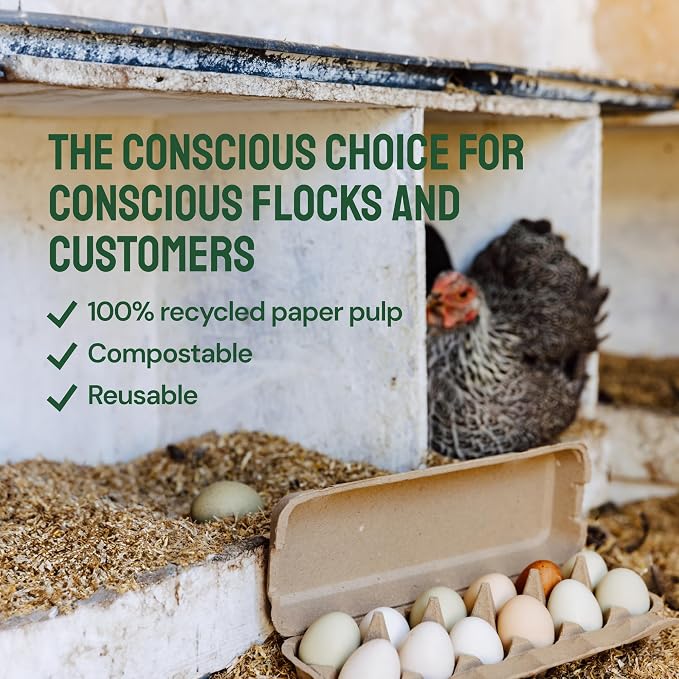 PTCOM Hatortempt Bulk Egg Cartons - Image 9