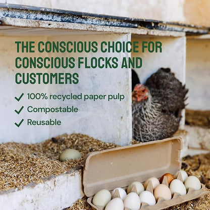 PTCOM Hatortempt Bulk Egg Cartons - Image 9