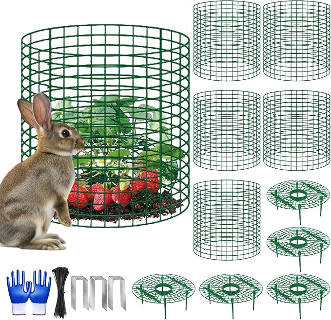 5 Sets Strawberry Plant Support by Nlicrst