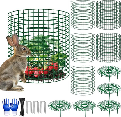 5 Sets Strawberry Plant Support by Nlicrst