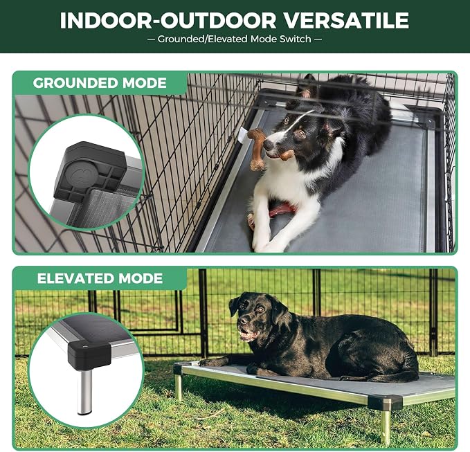 FXW TitanNest Chew-Proof Elevated Dog Bed, Raised Cot - Image 2
