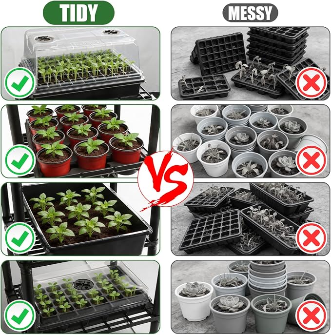 BTPLASTIK Plastic Plant Stand, Universal Plant Seedling Tray Organizer - - Image 3