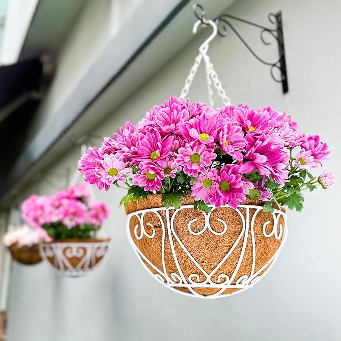 LaLaGreen Hanging Baskets for Plants Extra Large Hanging Flower Pot by L%C3%A1L%C3%A1Green