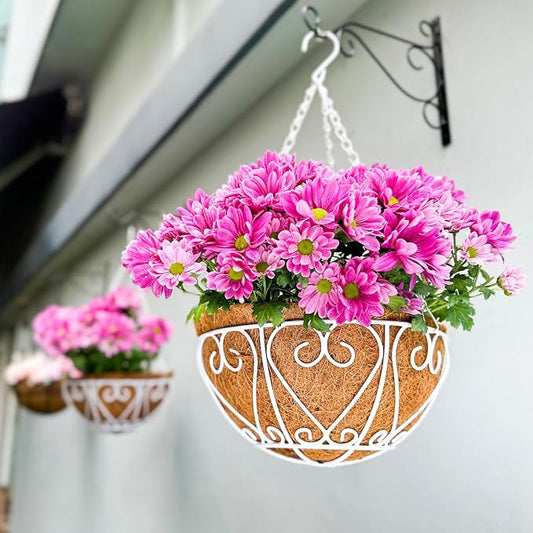 LaLaGreen Hanging Baskets for Plants Extra Large Hanging Flower Pot by L%C3%A1L%C3%A1Green