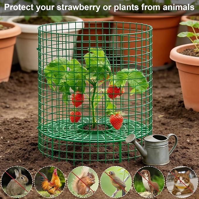 5 Sets Strawberry Plant Support - Image 5