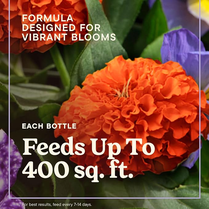 Miracle-Gro LiquaFeed All Purpose Plant Food Advance Starter Kit and Bloom - Image 3