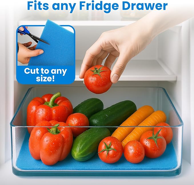 2X The Life of Your Produce - Image 4