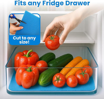 2X The Life of Your Produce - Image 4