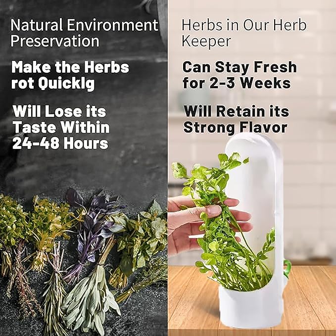 3Pack Herb Saver for Refrigerator for Cilantro, Vegetable Preservation - Image 6