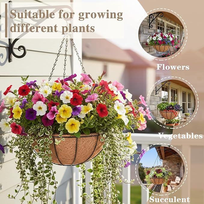 EIMQUVW 2 Pack Black Metal Round Hanging Basket 12 Inch Decorative Outdoor - Image 3