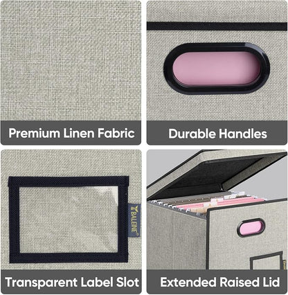 BALEINE File Organizer Box - Image 6