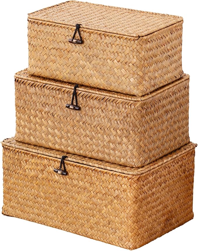 Nonam Storage Basket with Lid, Natural Seagrass Bin with Lid Set of 3, Shelf by Unknown