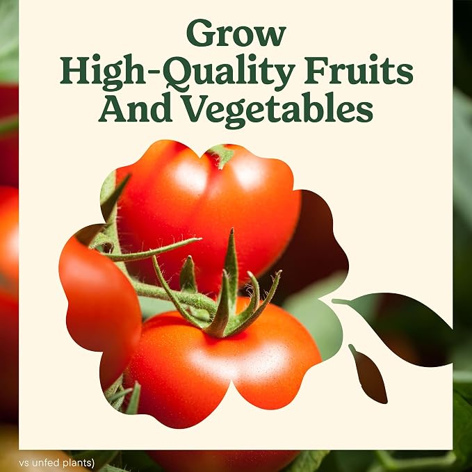 Miracle-Gro LiquaFeed Tomato, Fruits and Vegetables Plant Food, - Image 6