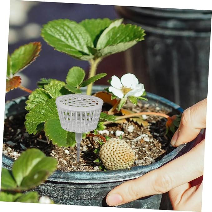 Milisten 10pcs Bonsai Fertilizer Box - Image 4