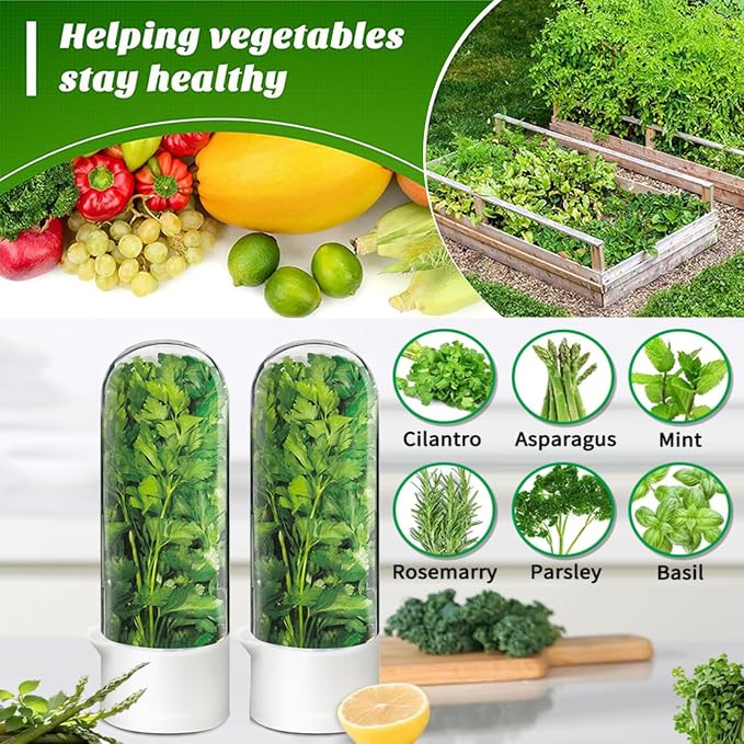 Herb Saver for Refrigerator - Image 2
