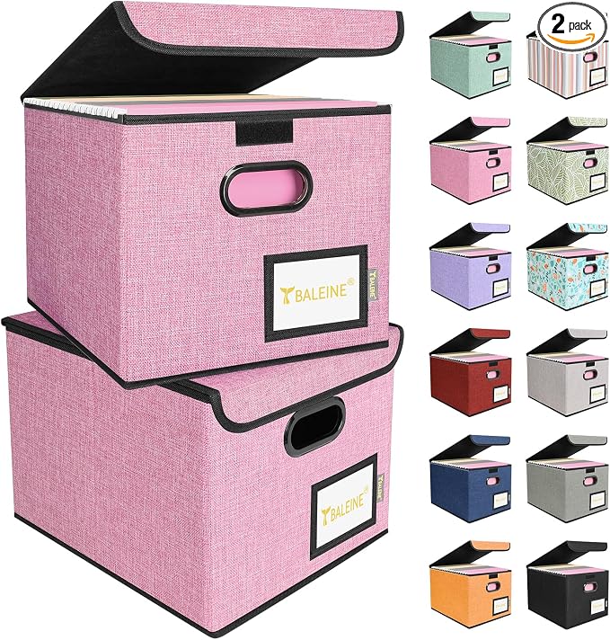 BALEINE File Organizer Box by BALEINE