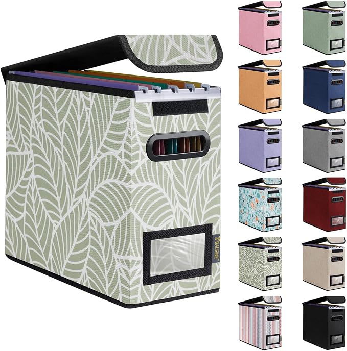 BALEINE File Organizer Box by BALEINE