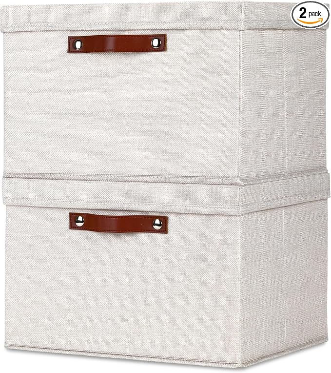 Temary Storage Bins with Lids 2-Pack Large Foldable Storage Baskets with Lid by TEMARY