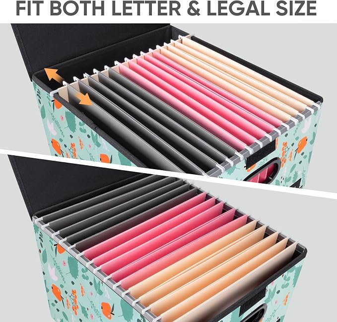BALEINE File Organizer Box - Image 3