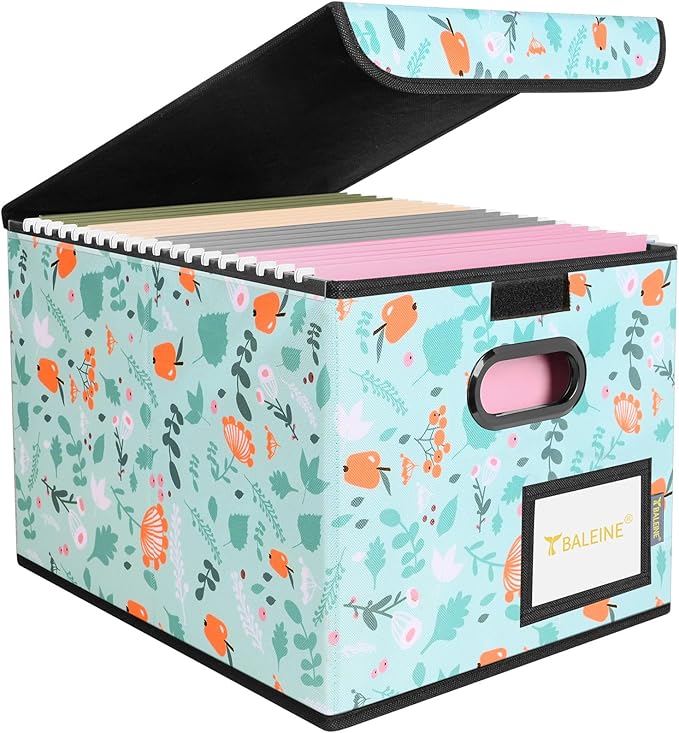 BALEINE File Organizer Box by BALEINE