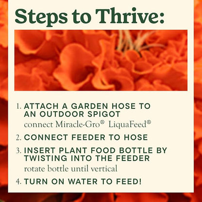 Miracle-Gro LiquaFeed All Purpose Plant Food Advance Starter Kit and Bloom - Image 5