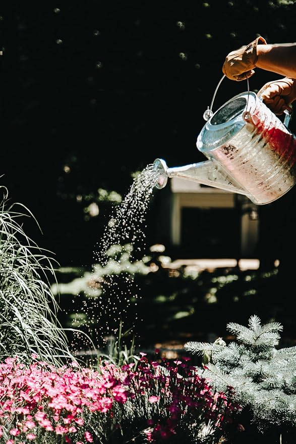 Behrens 2.5 Gallon Hot Dipped Steel Watering Can - Image 3