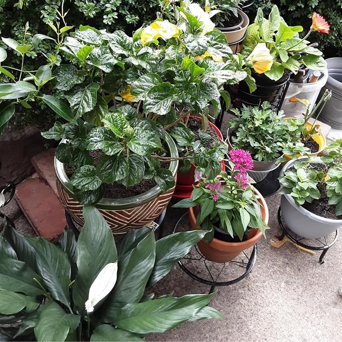 4 Pack Black Metal Potted Plant Stand - Image 3