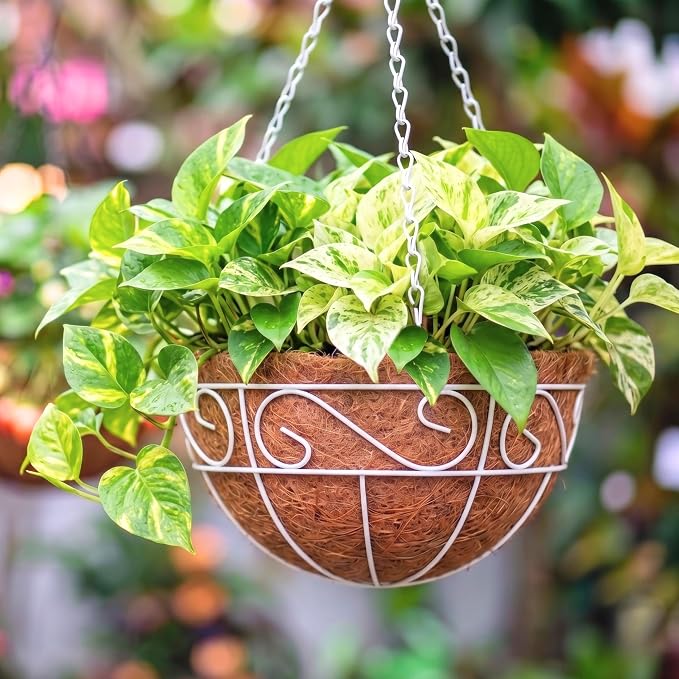LaLaGreen Hanging Planter For Outdoor Extra Large White Metal Wire Hanging by L%C3%A1L%C3%A1Green