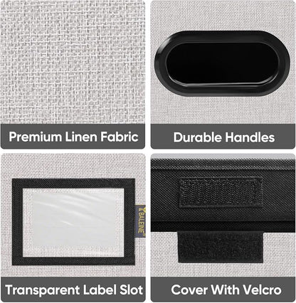 BALEINE File Organizer Box - Image 7