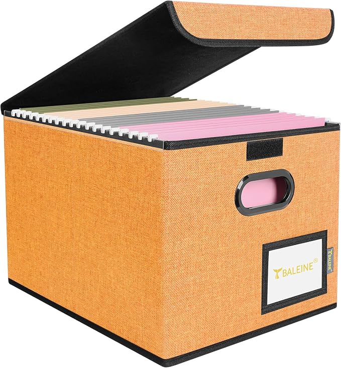 BALEINE File Organizer Box by BALEINE